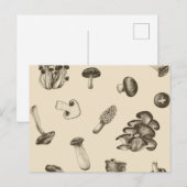Mushroom-Muster Postkarte (Vorne/Hinten)