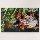 Mushroom Myzel Puzzle (Horizontal)