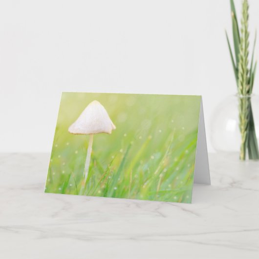 Mushroom Nature Birthday Karte (Vorderseite)