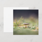 Mushroom Nature Foto Card (Vorne/Hinten)