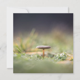 Mushroom Nature Foto Card