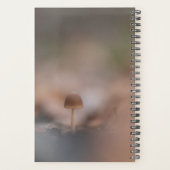 Mushroom Nature Foto Card Planer (Rückseite)