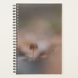 Mushroom Nature Foto Card Planer