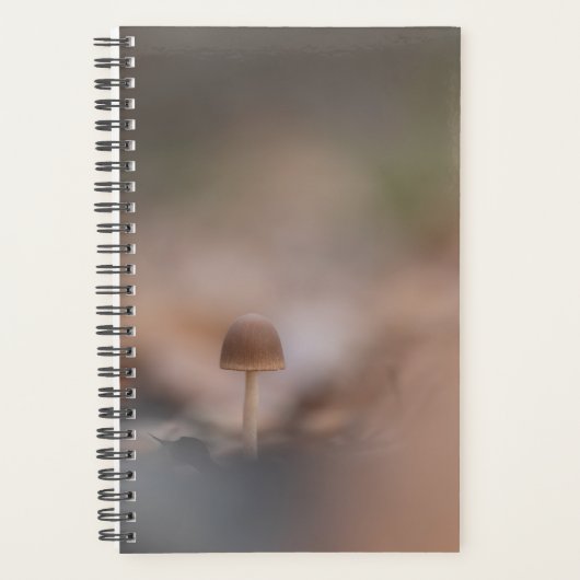 Mushroom Nature Foto Card Planer (Vorderseite)