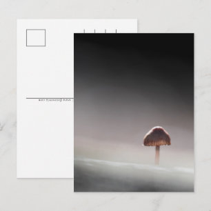 Mushroom Nature Foto Feiertagspostkarte