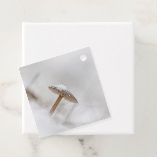 Mushroom Nature Foto Geschenkanhänger (Beispiel)