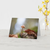 Mushroom Nature Foto Karte (Gelbe Blume)