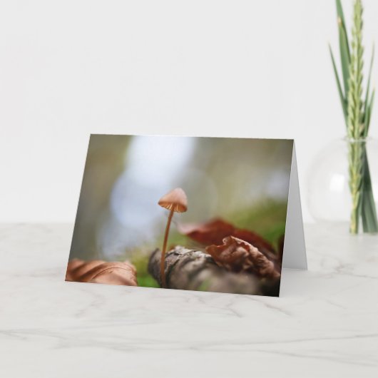 Mushroom Nature Foto Karte (Vorderseite)