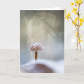 Mushroom Nature Foto Karte (Gelbe Blume)