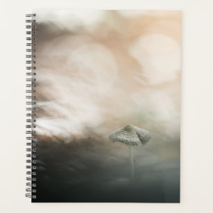 Mushroom Nature Foto Planer