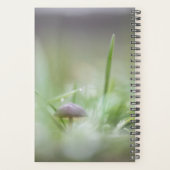 Mushroom Nature Foto Planer (Rückseite)