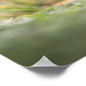 Mushroom Nature Foto Poster (Ecke)