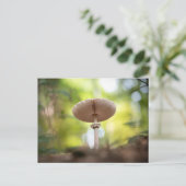 Mushroom Nature Foto Postkarte (Stehend Vorderseite)