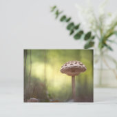 Mushroom Nature Foto Postkarte (Stehend Vorderseite)