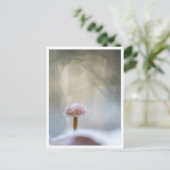 Mushroom Nature Foto Postkarte (Stehend Vorderseite)