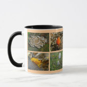 Mushroom Patches Tasse (Links)