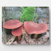 Mushroom Plaque Fotoplatte (Vorderseite)