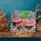 Mushroom Plaque Fotoplatte (Seite)
