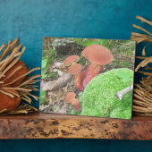 Mushroom Plaque Fotoplatte (Seite)
