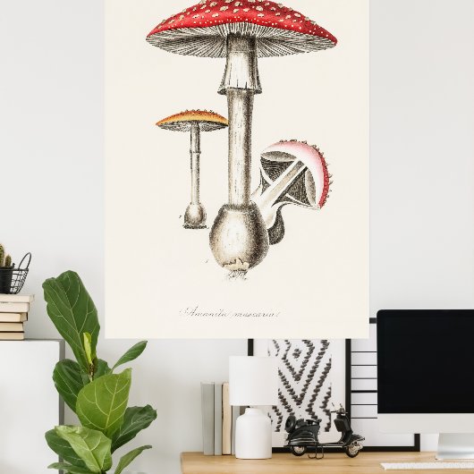 Mushroom Poster (Heimbüro)