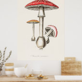 Mushroom Poster (Küche)