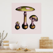 Mushroom Poster Serie 5 (Küche)