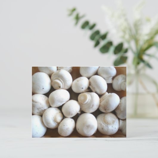 Mushroom Postkarte (Stehend Vorderseite)