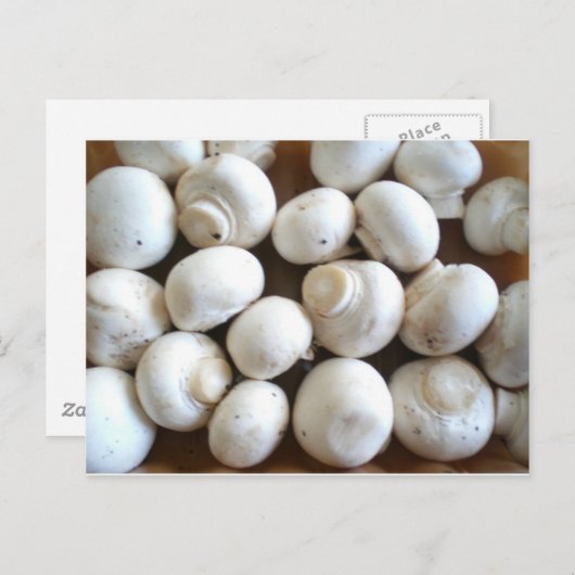 Mushroom Postkarte (Vorne/Hinten)