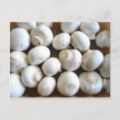 Mushroom Postkarte (Vorderseite)