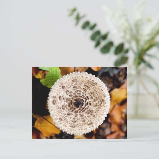 Mushroom Postkarte (Stehend Vorderseite)