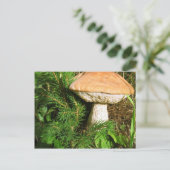Mushroom Postkarte (Stehend Vorderseite)