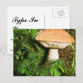 Mushroom Postkarte (Vorne/Hinten)
