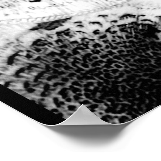 Mushroom Print Art Classic Poster (Ecke)