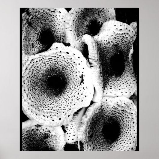 Mushroom Print Art Classic Poster (Vorne)