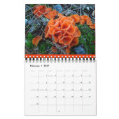 Mushroom Rainbow 2013 Kalender (Feb 2027)