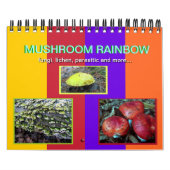 Mushroom Rainbow 2013 Kalender (Titelbild)