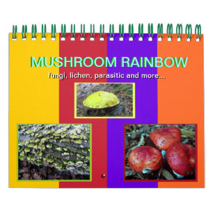 Mushroom Rainbow 2013 Kalender
