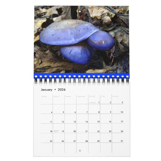 Mushroom Rainbow 2013 Kalender (Jan 2026)