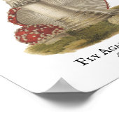 Mushroom Red Magic Vintag 1800 Poster (Ecke)