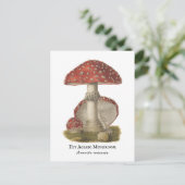 Mushroom Red Magic Vintag 1800 Postkarte (Stehend Vorderseite)