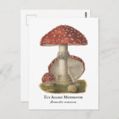 Mushroom Red Magic Vintag 1800 Postkarte (Vorne/Hinten)