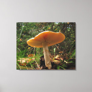 Mushroom Riant Leinwanddruck