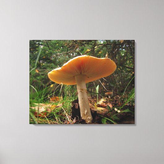 Mushroom Riant Leinwanddruck (Vorderseite)