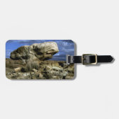 Mushroom Rock Gepäckanhänger (Vorderseite horizontal)