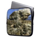 Mushroom Rock Laptopschutzhülle (Vorderseite Links)