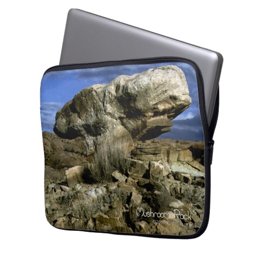 Mushroom Rock Laptopschutzhülle (Vorderseite Links)