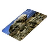 Mushroom Rock Magnet (Linke Seite)