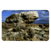 Mushroom Rock Magnet (Horizontal)