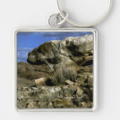 Mushroom Rock Schlüsselanhänger (Vorne)