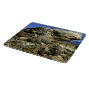 Mushroom Rock Schneidebrett